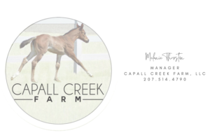 2024 capall creek farm logo 4
