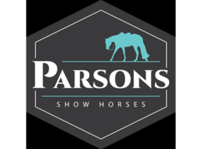 2024 parsons show horses 2