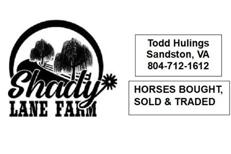 2024 shady lane farm black white