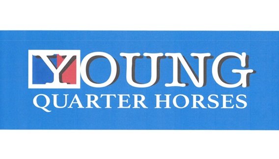 2024 young quarter horses 2