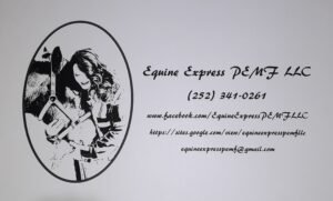 2024 nicole beiulieu logo