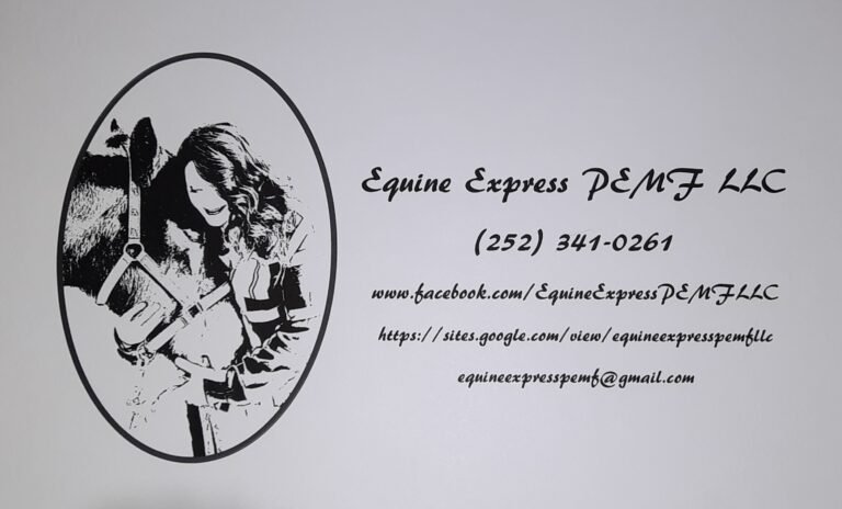 2024 nicole beiulieu logo