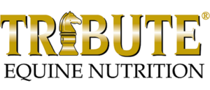 2018 tribute feed sponsor